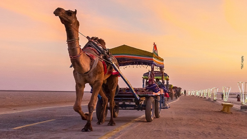 Rann Utsav 2-Day Package: An Itinerary Full of Wonder and What to Expect